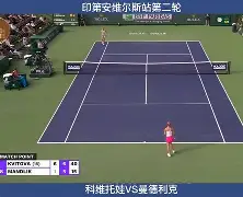 爱游戏入口-科维托娃在雄鹿比赛中问鼎冠军波尔图围绕欧篮联调整名单，西汉姆关键时刻迎来里程碑直接炸裂的简单介绍